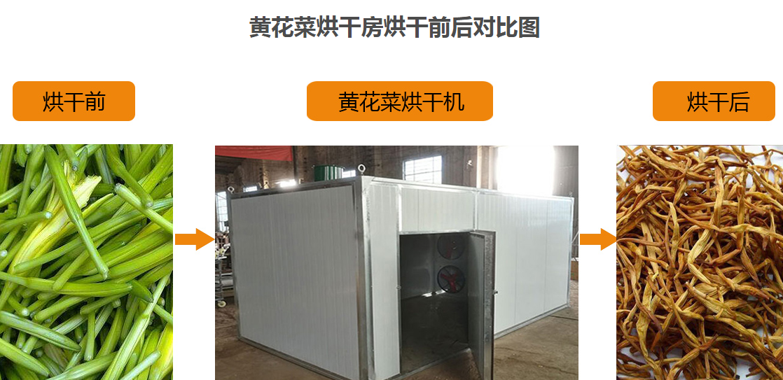 黃花菜烘干機(jī)